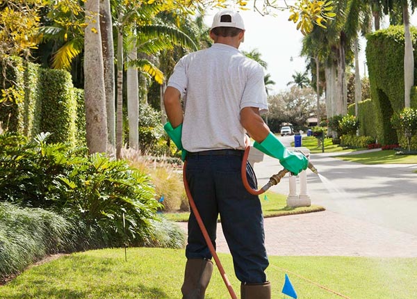 About Moorestown NJ Pest Control Pros